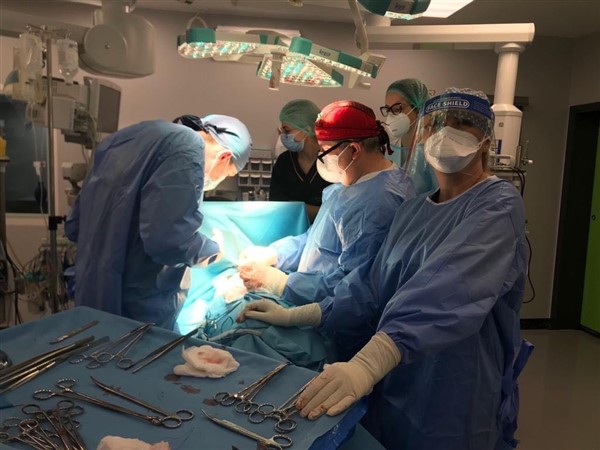 Premiera in Bistrita: Prima interventie de chirurgie toracica a avut loc cu succes